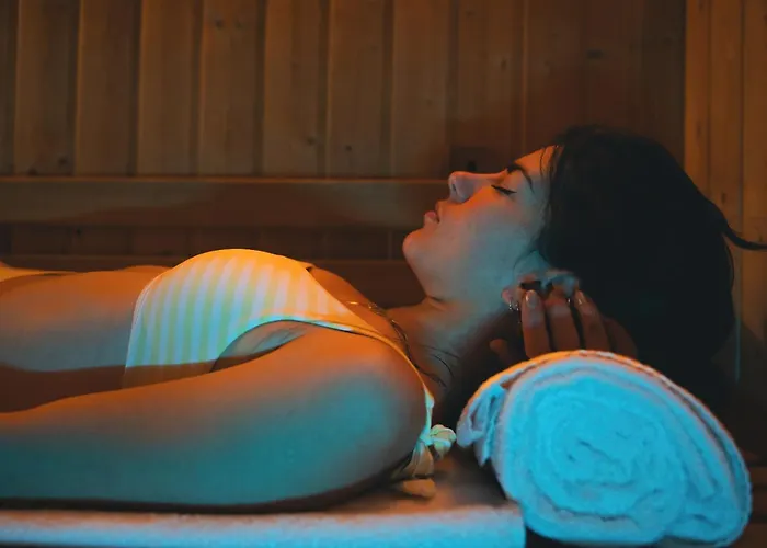 Le Loup Blanc 3* Pra Loup